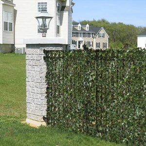 Privacy Fence Home Decoration